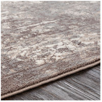 Surya APY1000-23 Apricity 36 X 24 inch Medium Gray/Taupe/White Rugs, Polyester alternative photo thumbnail