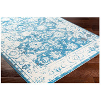 Surya APY1006-5376 Apricity 90 X 63 inch Blue and Neutral Area Rug, Polyester alternative photo thumbnail