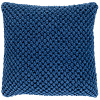 Surya GDA004-1818P Godavari 18 X 18 inch Dark Blue/Navy Pillow Kit, Square photo thumbnail