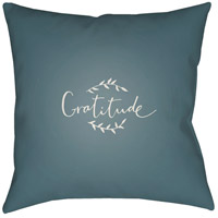 Surya GTD004-2020 Gratitude 20 X 20 inch Blue and White Outdoor Throw Pillow photo thumbnail