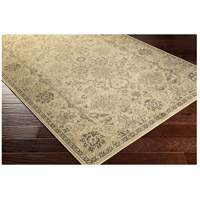 Surya HAT3004-5373 Hathaway 87 X 63 inch Neutral and Brown Area Rug, Polypropylene alternative photo thumbnail