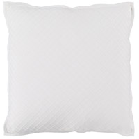 Surya HMD004-1818 Hamden 18 X 18 inch Off-White Pillow Cover photo thumbnail