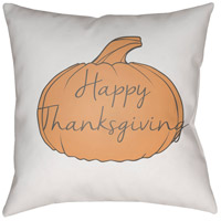Surya HPY004-1818 Happy Thanksgiving 18 X 18 inch White and Orange Outdoor Throw Pillow thumb