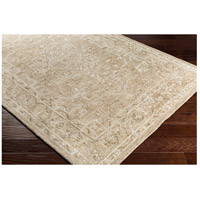 Surya SBY1005-23 Shelby 36 X 24 inch Olive/Dark Brown/Beige/Medium Gray/Camel Rugs, Rectangle alternative photo thumbnail