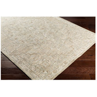 Surya SBY1008-576 Shelby 90 X 60 inch Khaki/Sage/Olive/Taupe/Tan/Teal Rugs, Rectangle alternative photo thumbnail