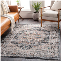 Surya SFT2300-5376 Soft Touch 91 X 61 inch Taupe/Ivory/Medium Gray/Black/Camel/Dark Brown Rugs, Rectangle sft2300-roomscene_201.jpg thumb