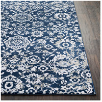Surya SOI2304-5373 Soleil 87 X 63 inch Navy/White/Medium Gray/Taupe/Camel/Pale Blue Rugs, Rectangle soi2304-front.jpg thumb