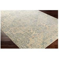 Surya SRE1016-110211 Serene 35 X 22 inch Neutral and Brown Area Rug, Polyester and Polypropylene alternative photo thumbnail