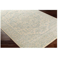 Surya SRE1017-710910 Serene 118 X 94 inch Neutral and Blue Area Rug, Polyester and Polypropylene alternative photo thumbnail