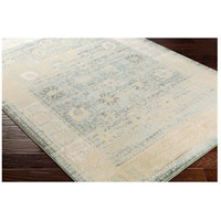 Surya SRE1019-110211 Serene 35 X 22 inch Neutral and Neutral Area Rug, Polyester and Polypropylene alternative photo thumbnail