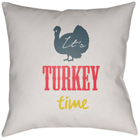 Surya TME003-2020 Its Turkey Time 20 X 20 inch White and Blue Outdoor Throw Pillow thumb