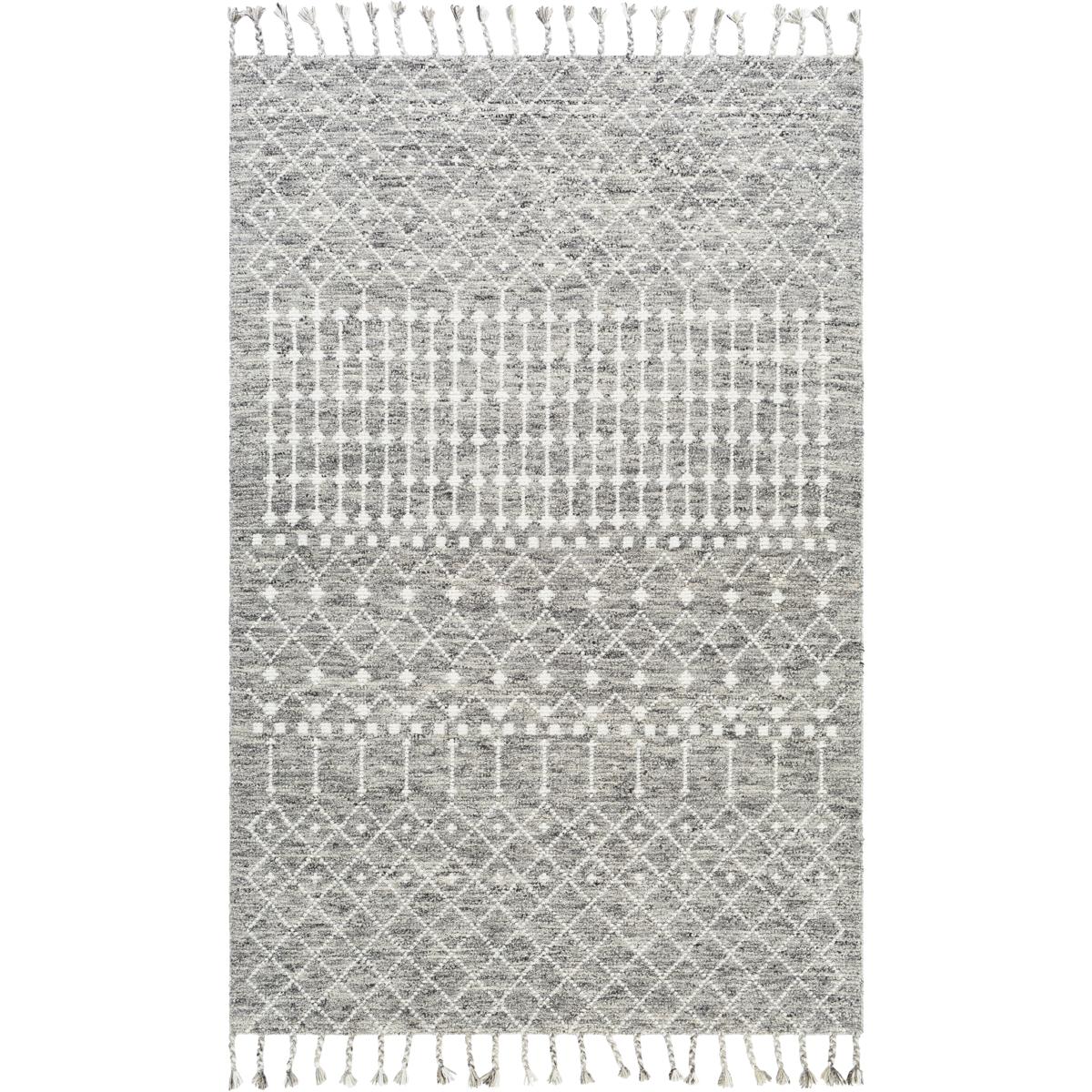 AGD1001-81012 8 ft. 10 in. x 12 ft. Agadir Hand Woven Rectangle Rug - Multi Color
