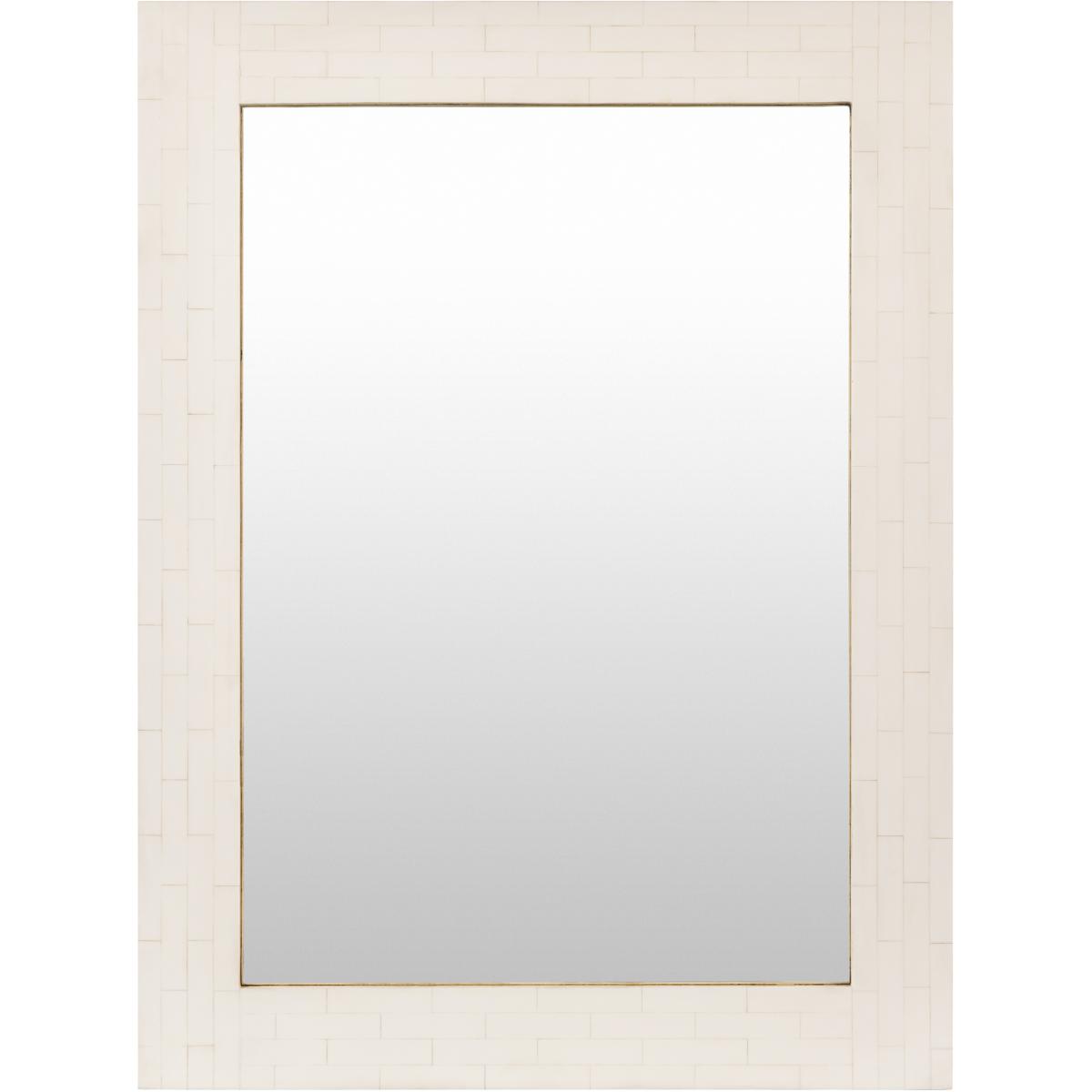 Surya BSE001-2432 Bastet 32 X 24 inch Light Grey Mirror, Rectangle