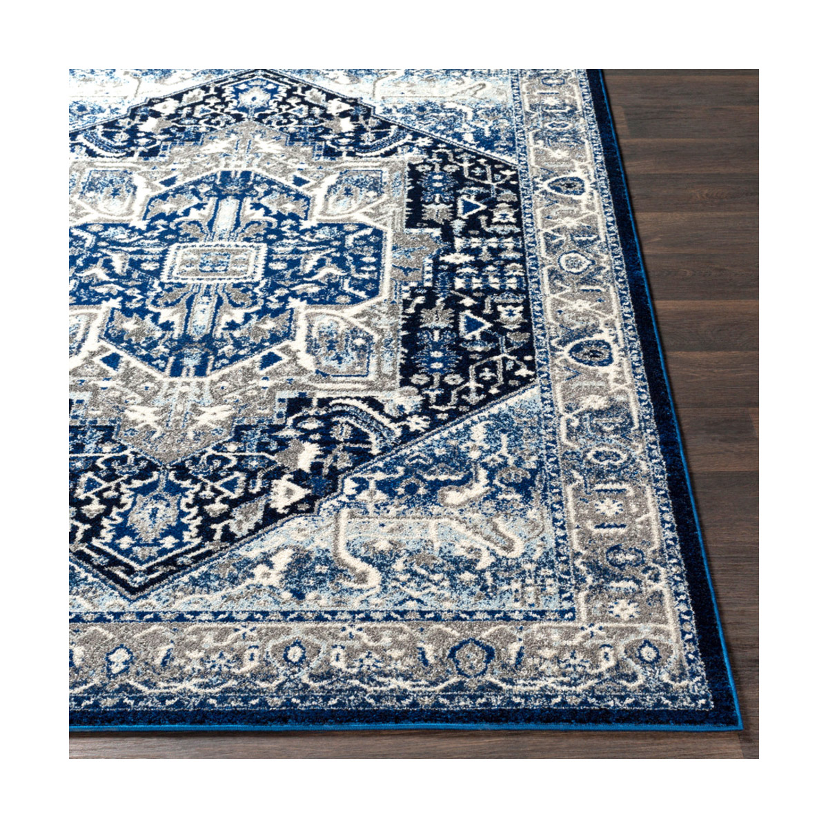Surya CSA23195373 Chelsea Area Rug eBay