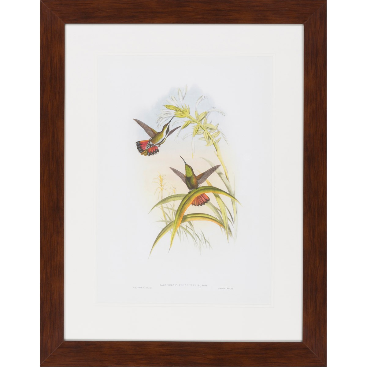 Surya LJ4012-2633 Surya Wall Decor Wall Art - Stock