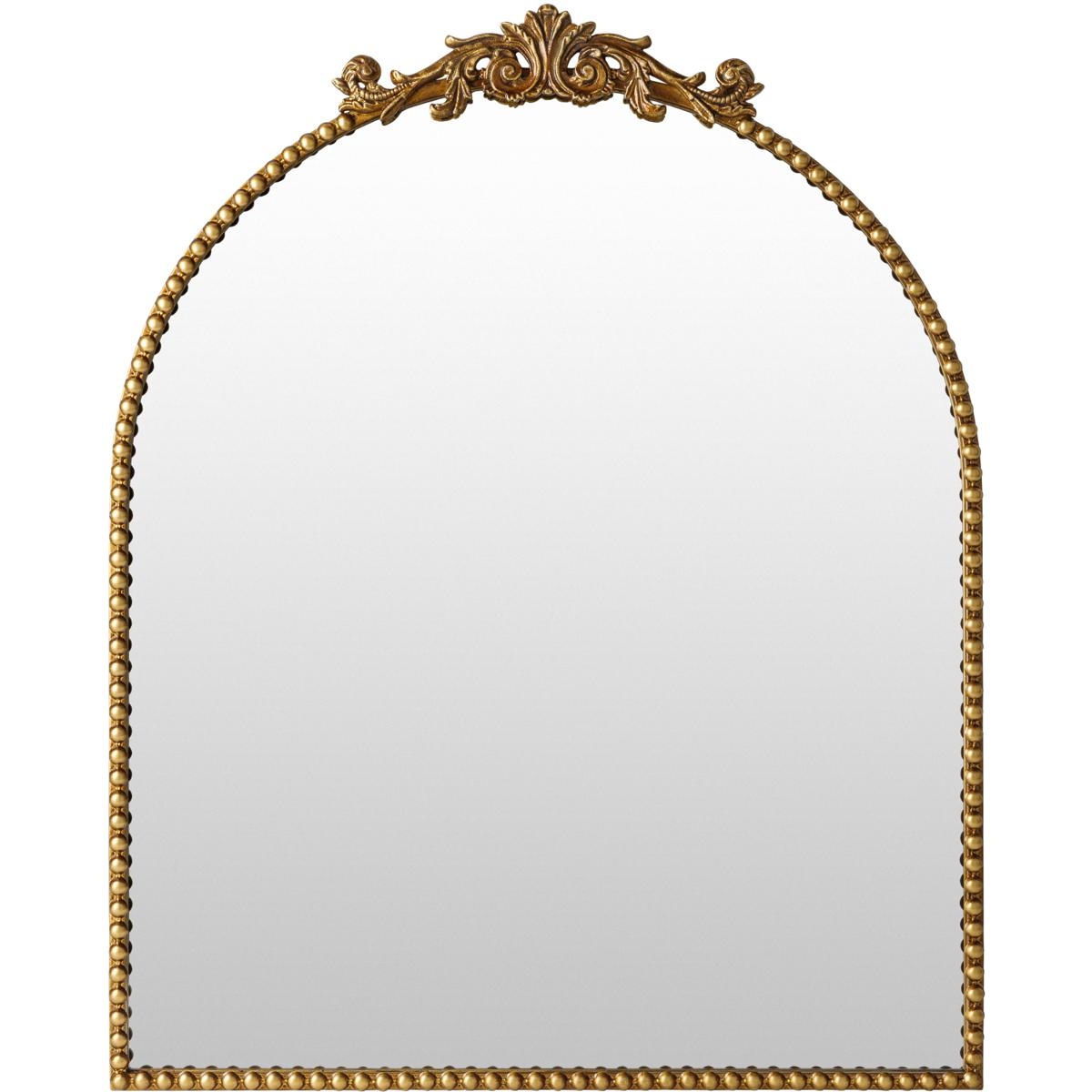 Surya RAL0043624 Aarlen 36 X 2363 inch Gold Accent Mirror in 36 x 24