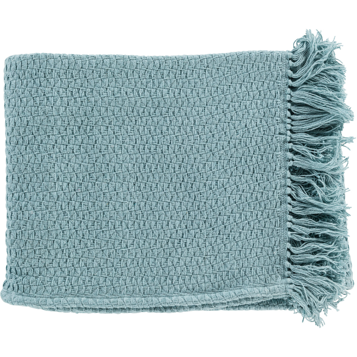 Surya TSS4003-5060 Tressa 60 X 50 inch Pale Blue Throw, Rectangle