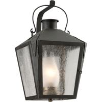 Troy Lighting BF3762CI Nantucket 1 Light 18 inch Charred Iron Outdoor Wall Lantern in Fluorescent  photo thumbnail
