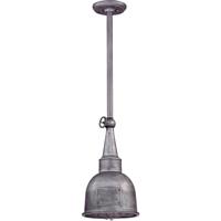Troy Lighting F2947 Raleigh 1 Light 10 inch Old Silver Outdoor Hanging Lantern in Incandescent  photo thumbnail