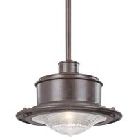 Troy Lighting F9396OR South Street 1 Light 14 inch Old Rust Pendant Ceiling Light photo thumbnail