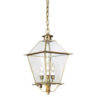 Troy Lighting FCD8956NAB Montgomery 3 Light 10 inch Natural Aged Brass Outdoor Hanging Lantern in Clear Seeded photo thumbnail