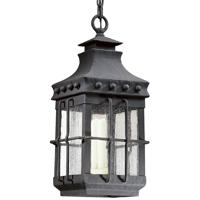 Troy Lighting FCD8973NB Dover 1 Light 9 inch Natural Bronze Outdoor Hanging Lantern photo thumbnail