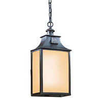 Troy Lighting FF9004OBZ Newton 1 Light 9 inch Old Bronze Outdoor Hanging Lantern in Fluorescent photo thumbnail