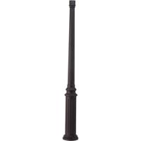Troy Lighting Dover Mounting Post in Natural Bronze with Coastal Finish PM4946NB-C photo thumbnail