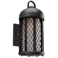 Troy Lighting B4481 Signal Hill 1 Light 13 inch Aged Silver Outdoor Wall Sconce in Incandescent photo thumbnail