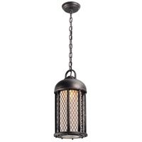 Troy Lighting F4487 Signal Hill 1 Light 8 inch Aged Silver Outdoor Hanging Lantern in Incandescent photo thumbnail
