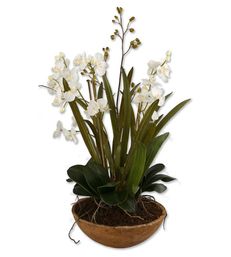 Uttermost 60039 Moth Orchid Planter n/a Botanical photo