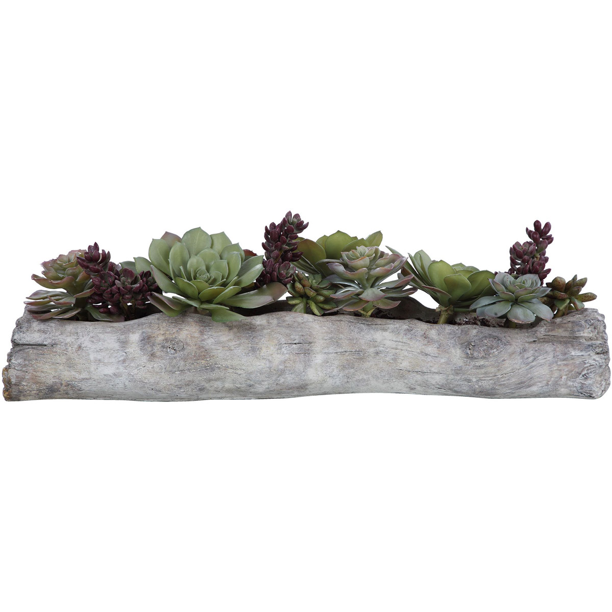 Uttermost 60174 Charita Solid Concrete Succulents