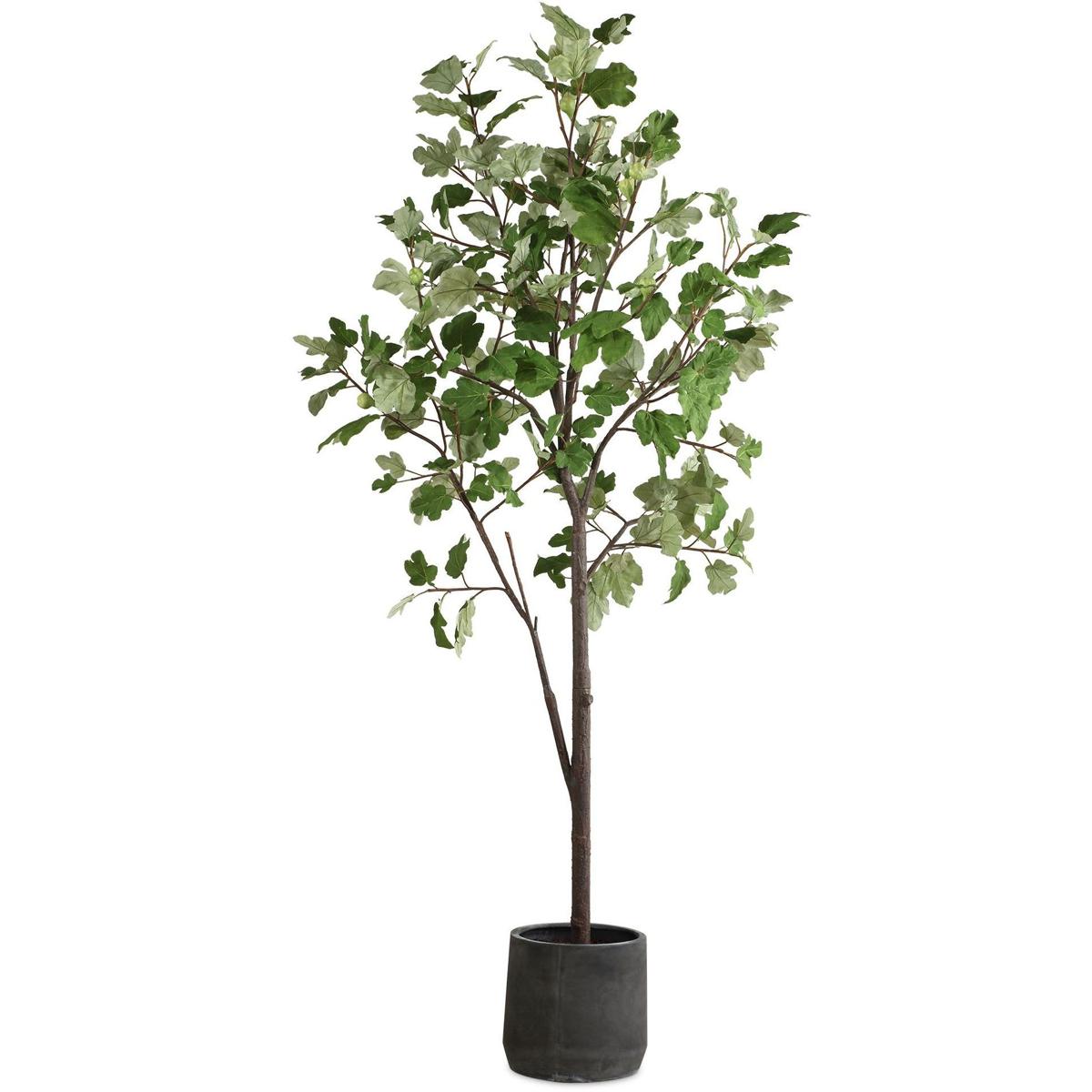 Uttermost 60246 Eden Green and Black Potted Fig Tree