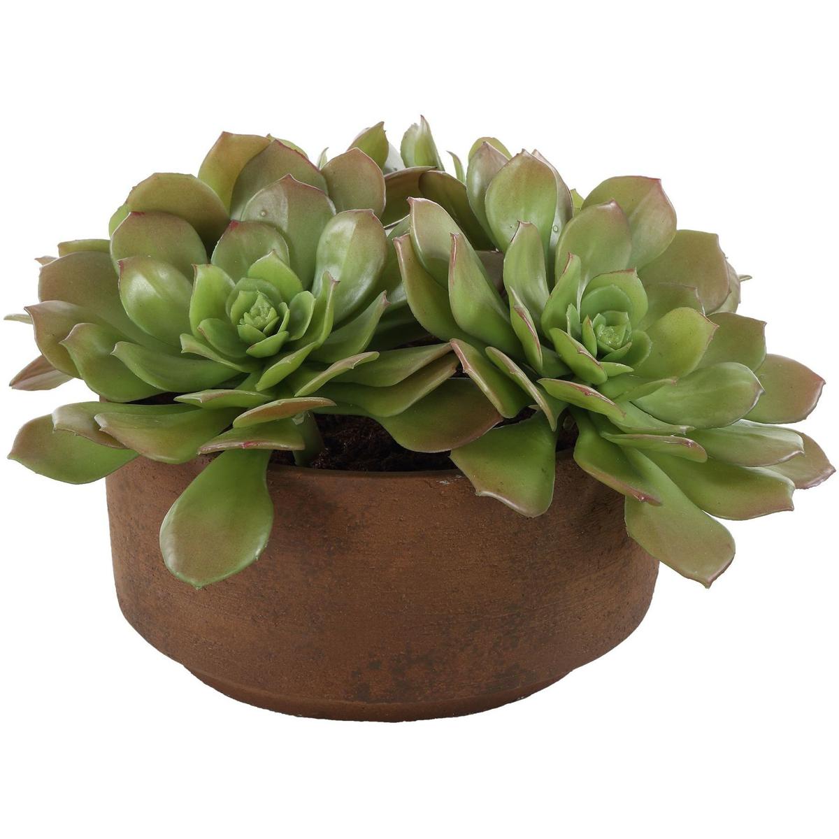 Uttermost 60267 Sable Succulent Terracotta and Green Accent In Pot