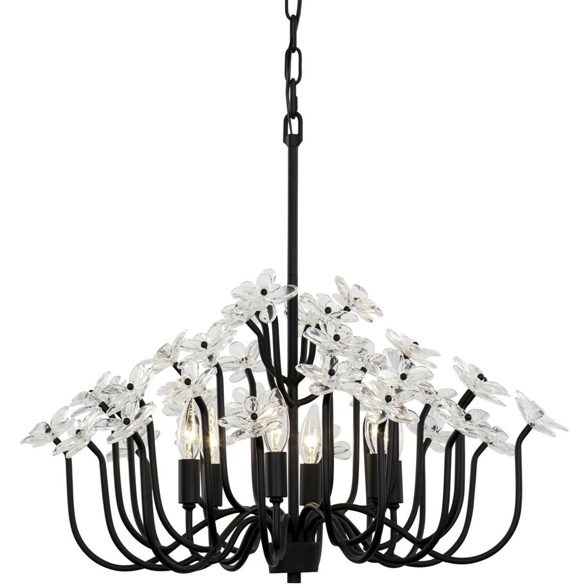 Varaluz 378C06MB Wildflower 6 Light 26 inch Matte Black Chandelier Ceiling Light, Smithsonian Collab