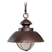 Vaxcel OD21506BBZ Harwich 1 Light 10 inch Burnished Bronze Outdoor Pendant photo thumbnail