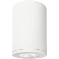WAC Lighting DS-CD05-F-CC-WT Tube Arch LED 5 inch White Outdoor Flush in 90, Flood, Color Changing DS-CD05-CC-WT-1.jpg thumb