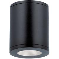 WAC Lighting DS-CD0517-F927-BK Tube Arch LED 5 inch Black Outdoor Flush in 17, 2700K, 90, F-33 Degrees thumb