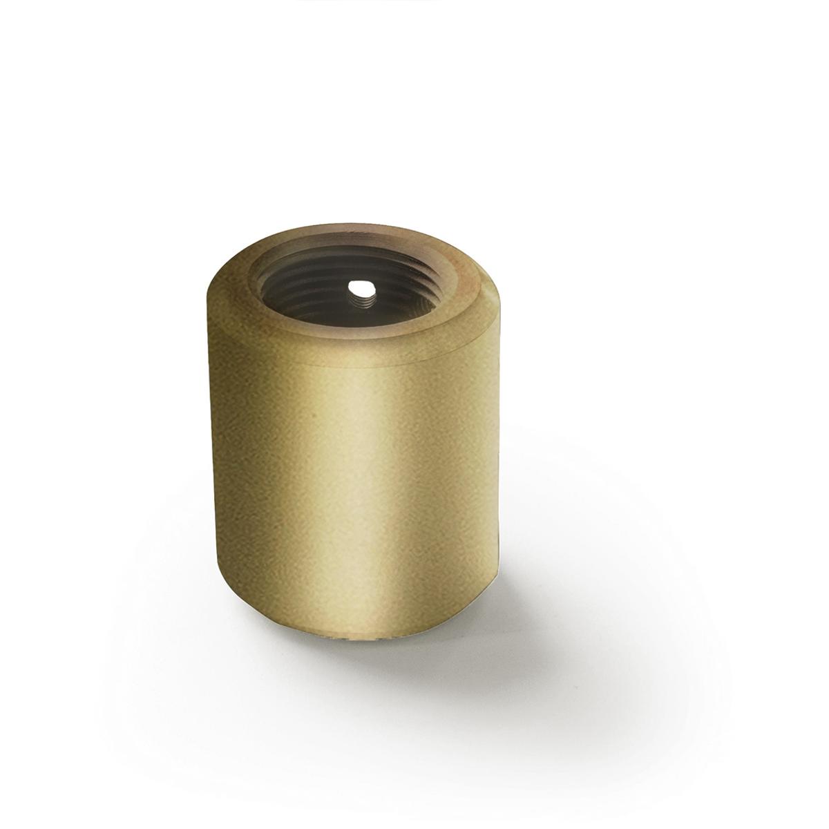 WAC Lighting DC-SB Tyler Satin Brass Fan Downrod Coupler, Smart Fan