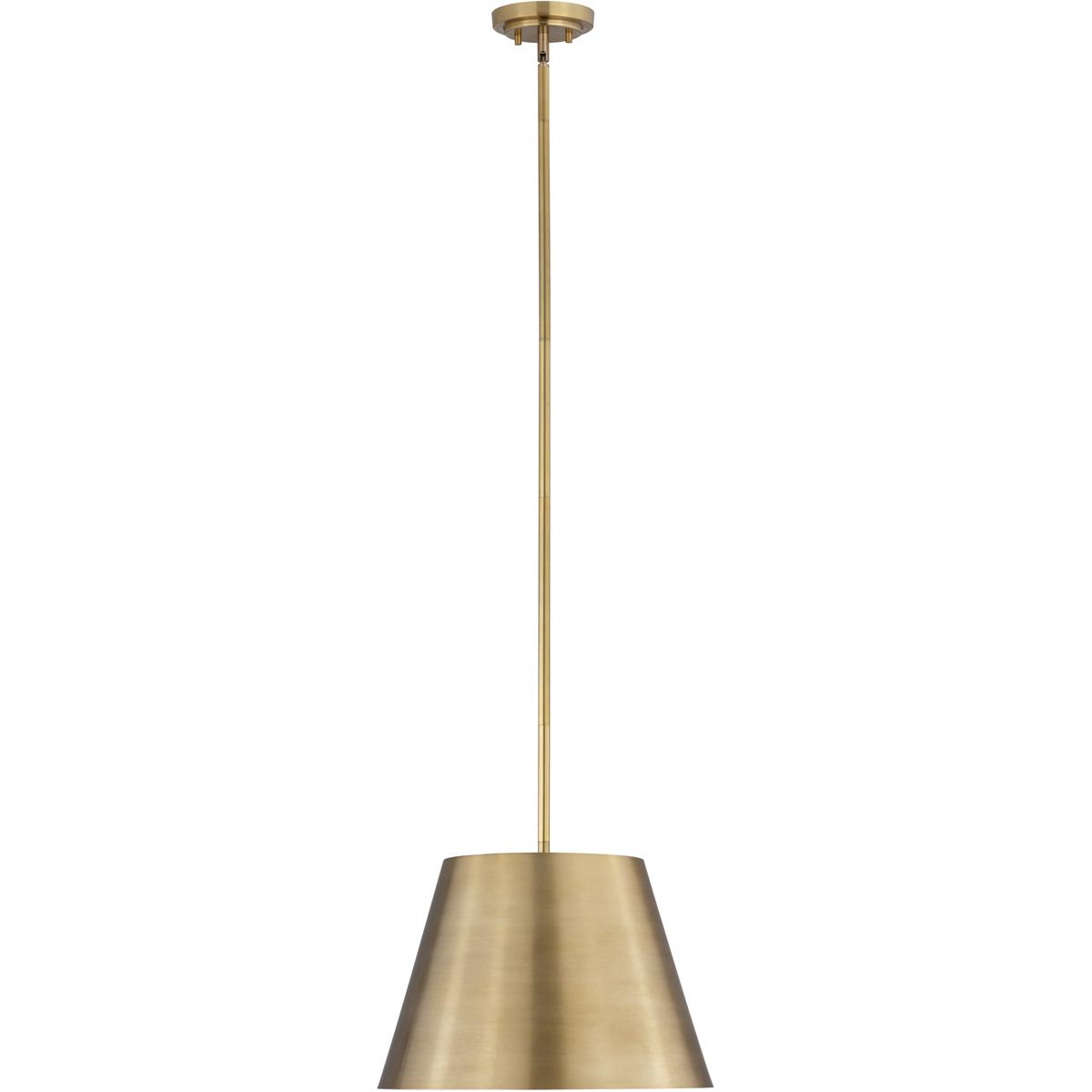 Z-Lite 2307-18RB Lilly 1 Light 18 inch Rubbed Brass Pendant Ceiling Light